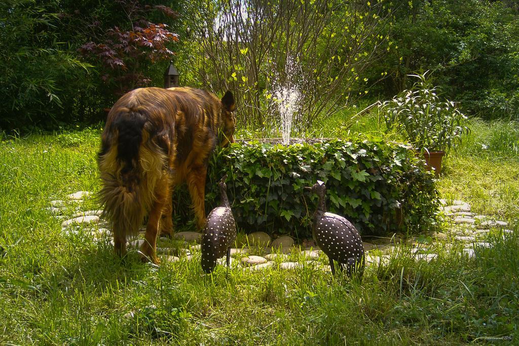 Le Moulin Du Rossignol Bed & Breakfast Rognes Dış mekan fotoğraf